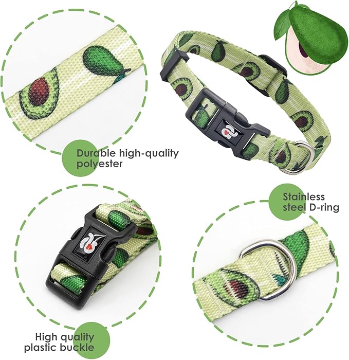 azuza Dog Collar and Leash Set, Fun Avocado Patterns on Nylon Collar and Matching Leash, Large Dog Collar for Medium Dogs