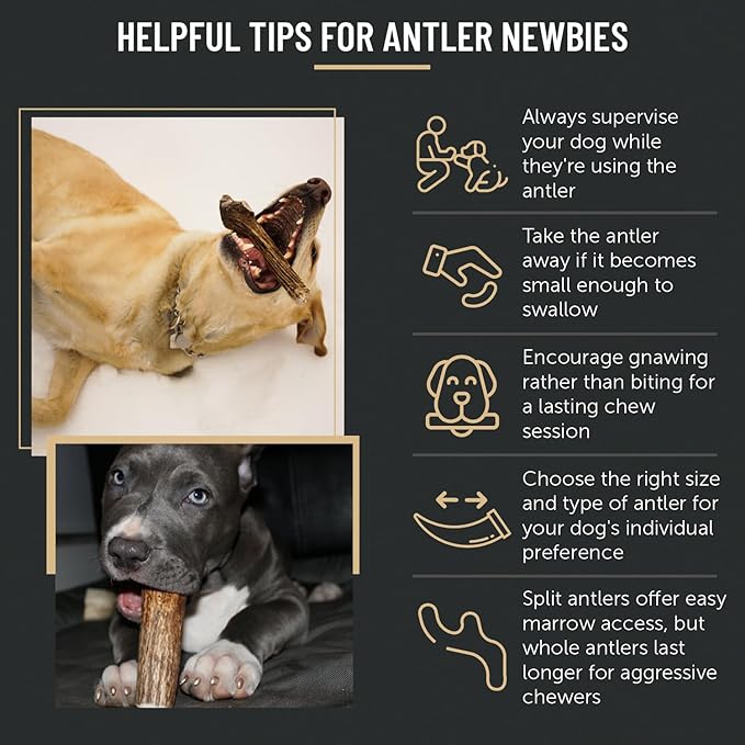 The Antler Box Premium Elk Antler Dog Chews (1 Pound Box) (Large (3 Pieces) Split Only)