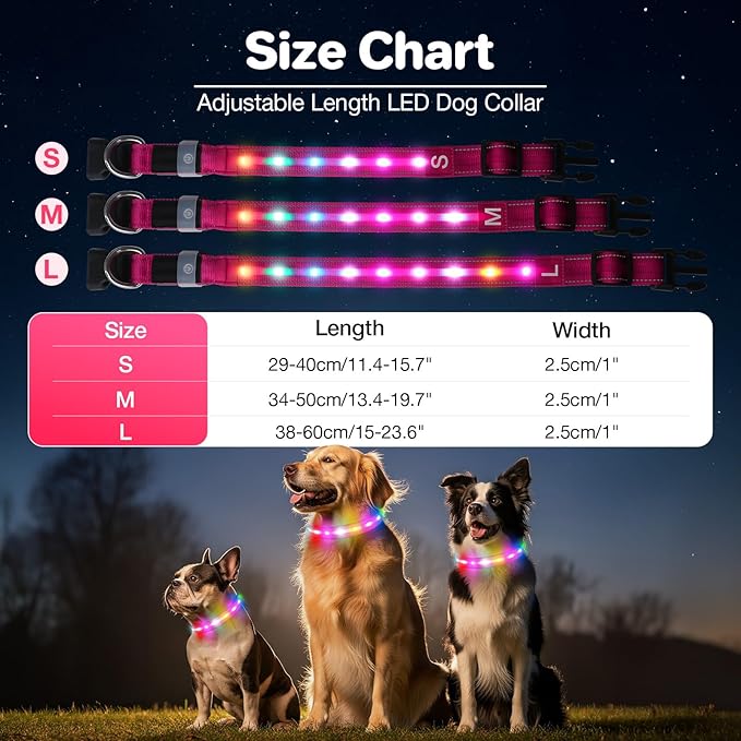 Light Up Dog Collar, USB Rechargeable 6 Modes, Waterproof Charging Port, Long Lasting LED Collar - Adjustable Nylon Reflective for Dogs, Sizes S/M/L (7/9/11 Lights) - 5 Colors (Pink, L)
