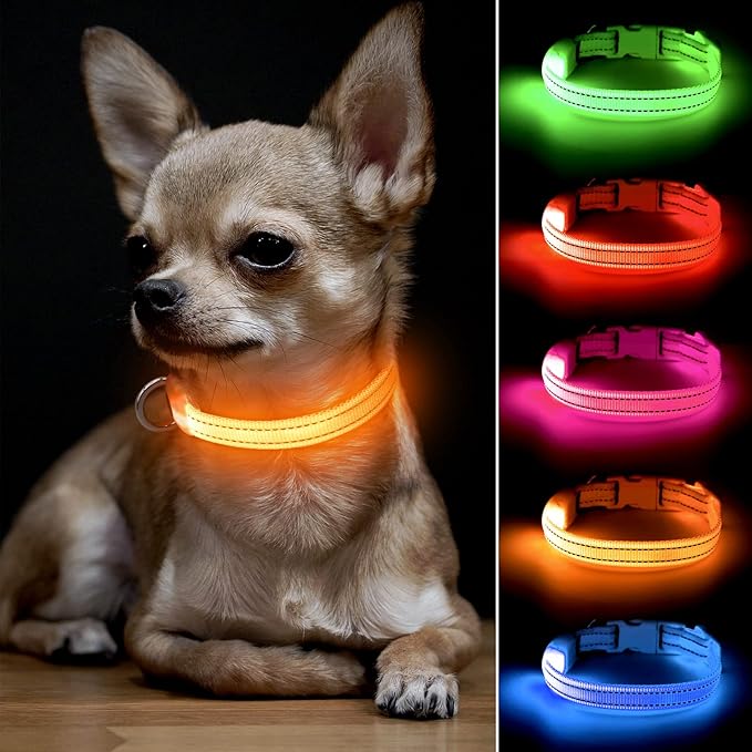 BSEEN Light Up Dog Collar, Rechargeable LED Dog Collar Glowing Cat Collars Reflective Puppy Collar Safety Dog Lights for Night Walking(Orange, XS)