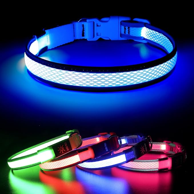 BSEEN Light Up Dog Collar - Reflective LED Dog Collar Rechargeable, Glowing Pet Collars, Adjustable Doggie Lights for Night Walking (Medium Collar, Royal Blue)