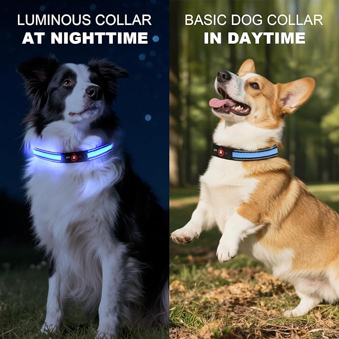 Light Up Dog Collar-Rechargeable & Long-Lasting Power LED Dog Collar Lights for Night Walking, Waterproof & Safety Glowing Collars for Medium Dogs [Blue-M]
