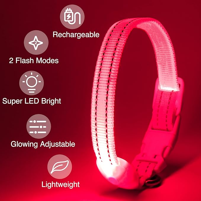 LED Dog Collar - Light Up, Adjustable, Rechargeable, Waterproof - Night Walking, Glow in Dark - Small, Pink