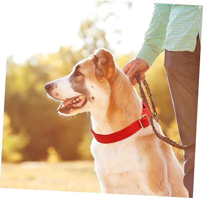 Adjustable Simple Design Dog Collar with Metal Buckle Soft and Comfortable Pet Neck Chain for Dogs for Daily Wear Parties and Photos