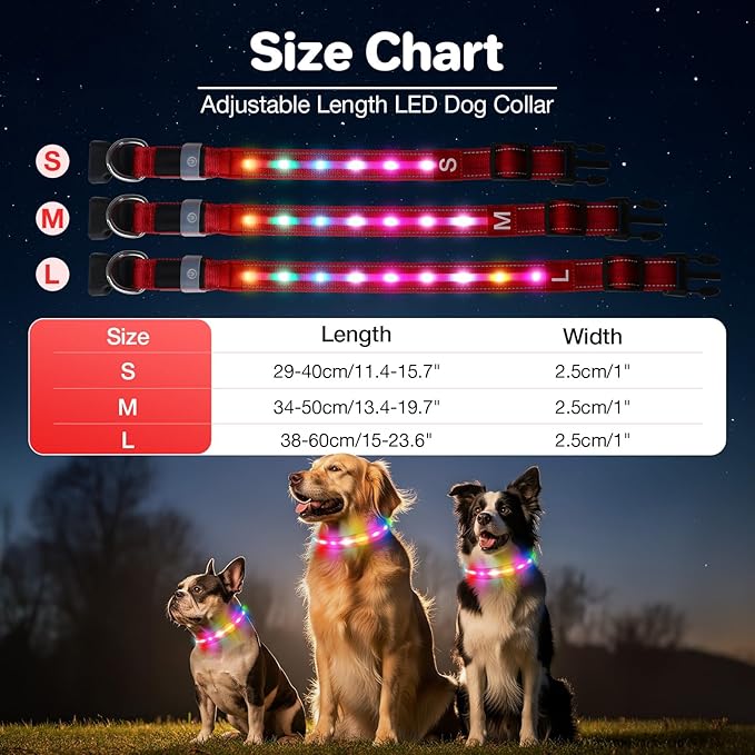 Light Up Dog Collar, USB Rechargeable 6 Modes, Waterproof Charging Port, Long Lasting LED Collar - Adjustable Nylon Reflective for Dogs, Sizes S/M/L (7/9/11 Lights) - 5 Colors (Red, M)