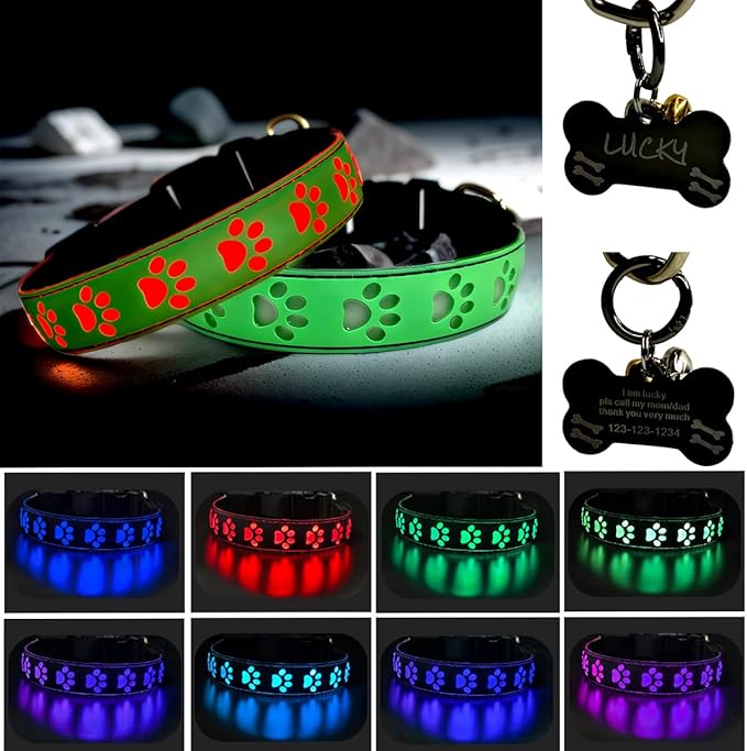 LED Dog Collar with Paw Print Design, 15 Light Modes, Waterproof, Includes Bone-Shaped Name Tag, Multiple Colors (Green, L(15.7-19.7"))