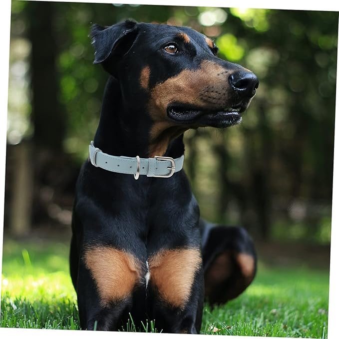 Adjustable Pu Dog Collar Neck Circle for Dogs Comfortable Microfiber Material Stylish Design for Daily Wear and Pet Fashion