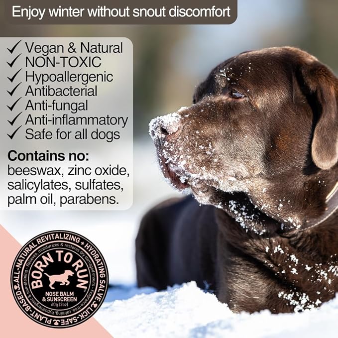 Born To Run Dog Nose Balm | Natural Snout Soother & Cold Wind Sun Protection | Moisturizes & Heals Dry Cracked Chapped Noses | Fragrance-Free Hyperkeratosis Relief Plant-Based Lick Safe Nose Cream 2oz