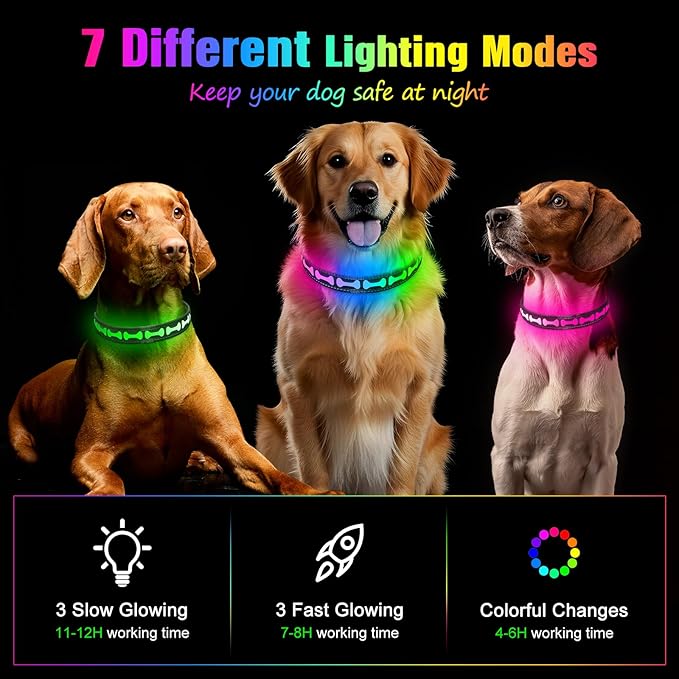 Flashseen LED Dog Collar Light Up USB-C Rechargeable, RGB 7 Colors 3 Modes Glow in The Dark Collar, Adjustable 360° Visibility Glowing Collars for Night Walking for Dogs (Grey, Small)