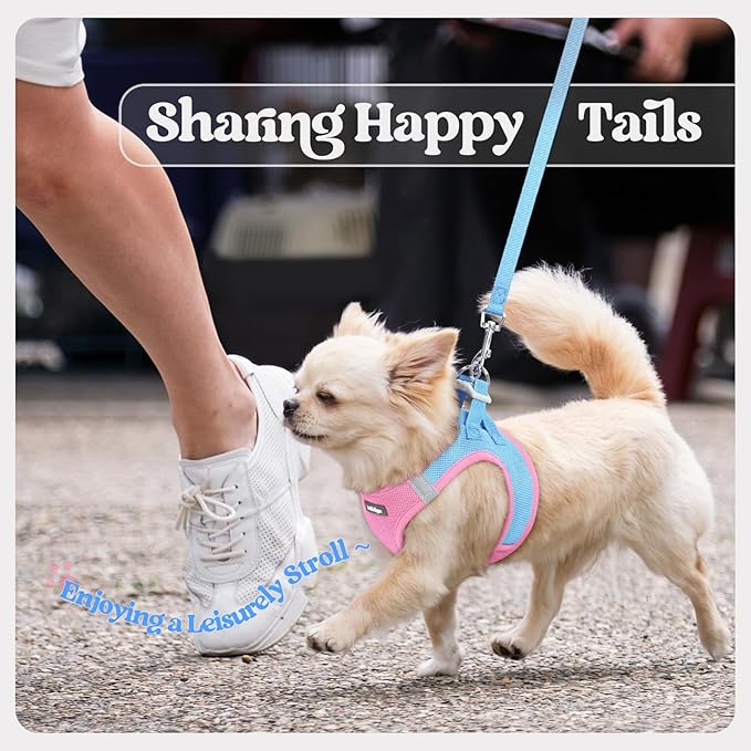 rabbitgoo Dog Harness Small Sized and Leash Set, Step in Soft Light Puppy Vest, Breathable Mesh Pet Harness, Reflective for Safe Easy Walking, Blue & Light Pink XXXS