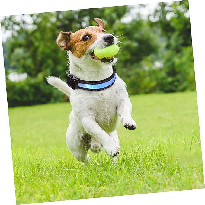 POPETPOP Unique Design Led Pet Collar USB Solar Rechargeable Glow Collar Night for Dogs Pet Accessories