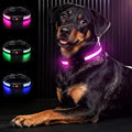 Light Up Dog Collar-Rechargeable & Long-Lasting Power LED Dog Collar Lights for Night Walking, Waterproof & Safety Glowing Collars for Medium Dogs [Pink-M]