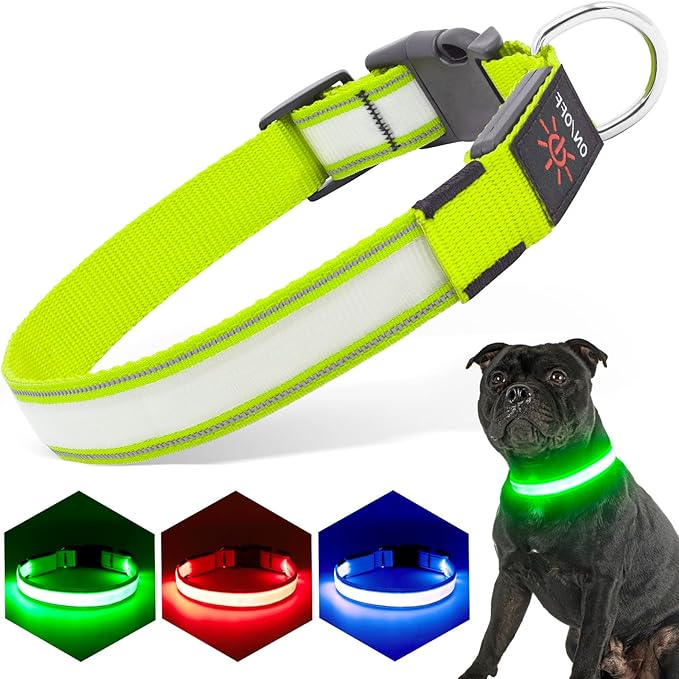 LED Light Up Dog Collars Micro USB Rechargeable Waterproof, Full Adjustable Lighted Glow Dark Dog Collar Light for Night Walking for Small Medium Large Dogs, Green