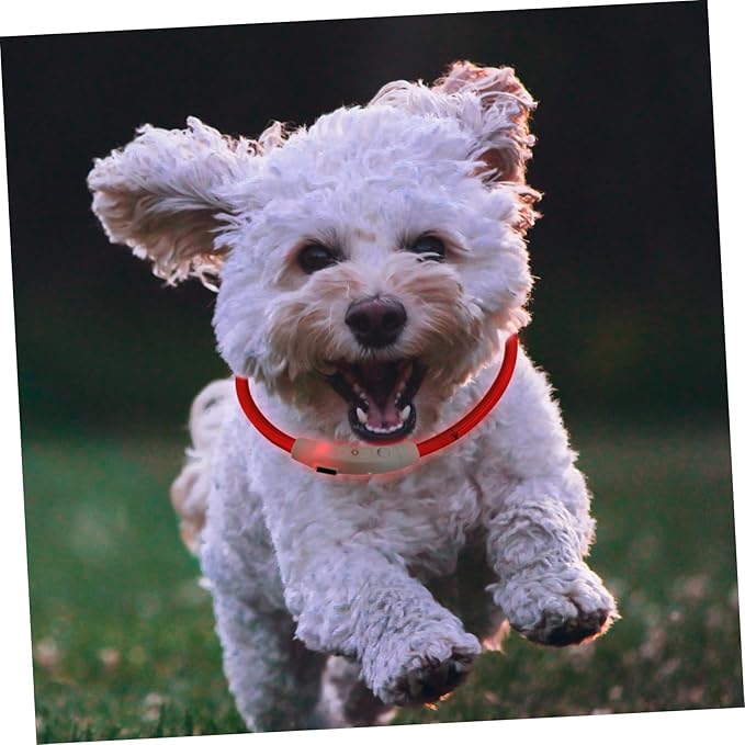 USB Rechargeable Dog Collar Light Flashing Pet Collar for Night Walking
