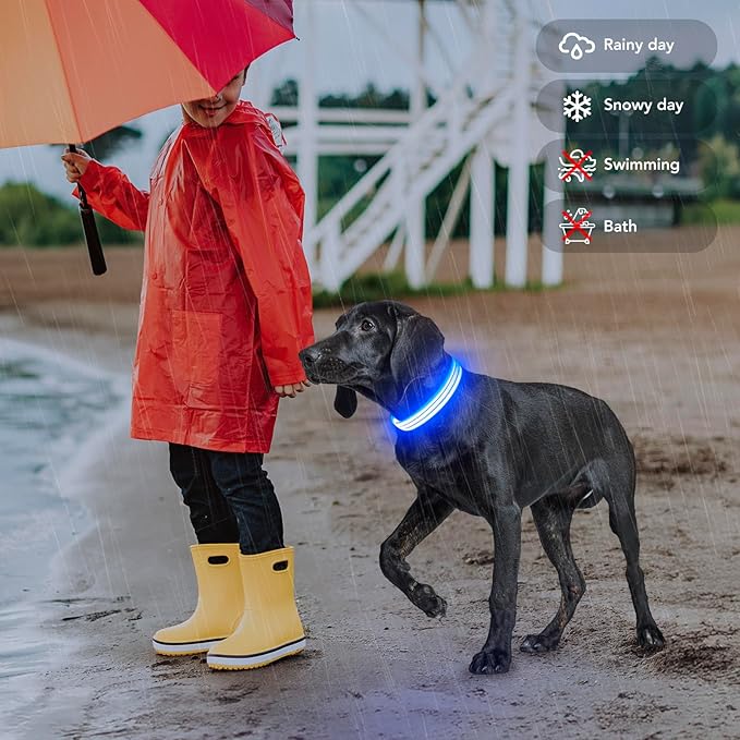 Light Up Dog Collars Rechargeable, Reflective LED Glow Dark Dog Collar for Small Medium Large Dogs, Adjustable Pet Dog Lights for Safe Night Walk-Blue, Large