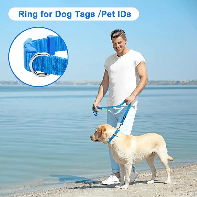 azuza 3 Pack Dog Collars Comfortable and Adjustable Nylon Dog Collars for for Small Dogs, S (11-16inch)，Green, Blue and Royal Blue