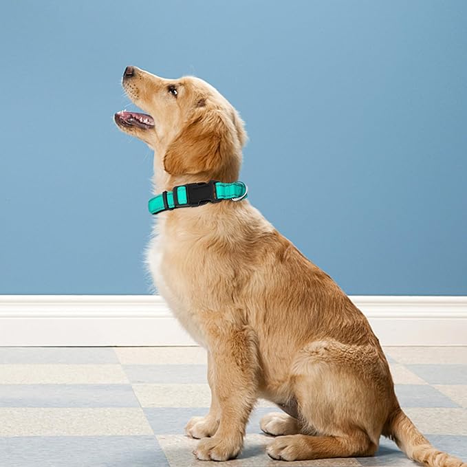 Reflective Dog Collar, Adjustable Soft Neoprene Padded Nylon Pet Collars with Buckle for Puppy and Small Dogs, Cats, Turquoise,XS