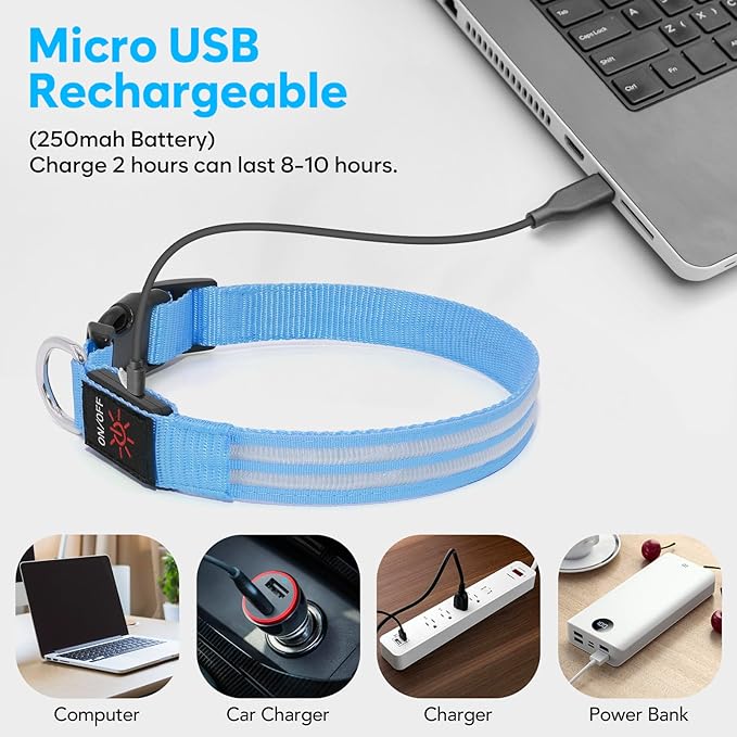 BSEEN Light Up Dog Collar - High Visibility LED Dog Collar Rechargeable Glow in The Dark Pet Collars Safety Dog Lights for Night Walking (Blue, Large)