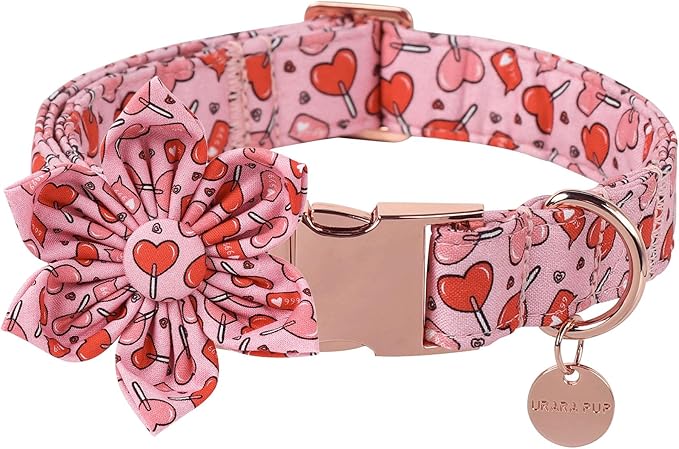 Valentine Dog Collar with Flower, Heart Flower Collar for Puppy Girl Boy Dog or Cat, Comfortable Dog Collar Flower with Durable Metal Buckle, Cute Pet Collar, XS, Neck 8-12in