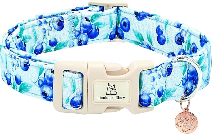 Lionheart glory Dog Collar Blueberries Print Collar for Medium Dogs Spring Summer Female or Male Collars Pets Gift Adjustable Heavy-Duty Cute Pet Collars