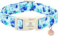 Lionheart glory Dog Collar Blueberries Print Collar for Large Dogs Spring Summer Female or Male Collars Pets Gift Adjustable Heavy-Duty Cute Pet Collars