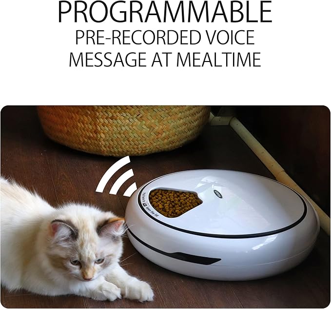 Lentek Automatic Pet Feeder - Auto Feeding Dispenser for Cat & Dogs, Set Time Dry Multiple Feeding, Alimentador Control, Programmable, USB Powered, Automatico De Sensor, 25 Oz Total Capacity, White