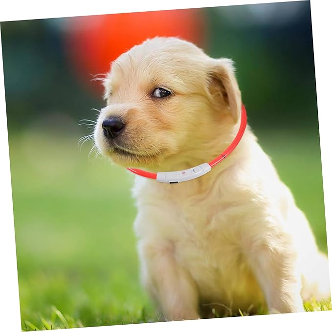 Totority LED Dog Collar Rechargeable Glow Collar for Night Safety Stylish Pet Accessory for Parties and Outdoor Activities High Visibility