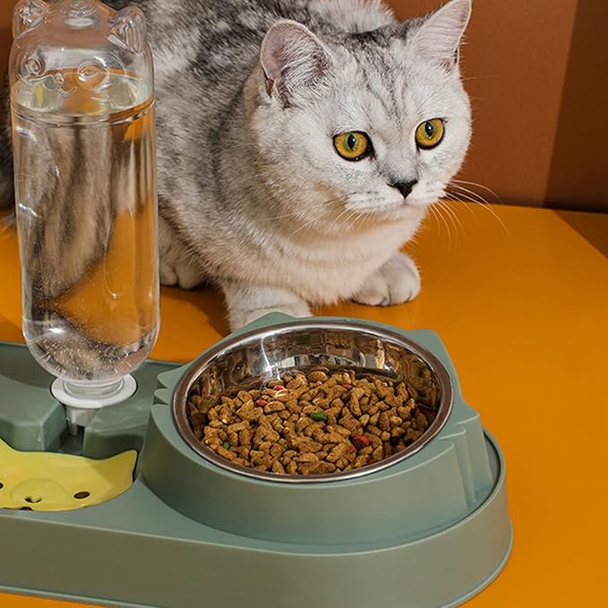 Pet Feeding Bowl Dog Food Small Dogs Food Large Capacity Anti-Skid Feeding Dispenser Kitten Feeder Pet Supplies for Small Dogs Treats