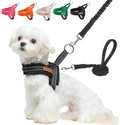 BEAUTYZOO Dog Harness for Small Dogs, No Pull Dog Harness and Leash Set, Soft Escape Proof Puppy Vest Harness with Handle, Reflective Lightweight Step in Harness for Girl Boy Dogs, Black XS