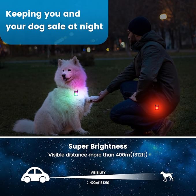 Dog Collar Light, 2 Pack Rechargeable Dog Light Clip On, 80LM Brightness 4 Color Modes Dogs Lights for Night Walking, Waterproof Pet Camping Essentials for Running, Cycling, Hiking (Black)