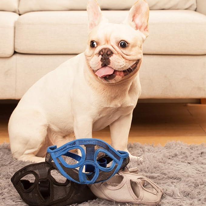 Short Snout Dog Muzzle Bulldog Muzzle, Stop Dog for Biting Barking Chewing, Adjustable(L, Blue)