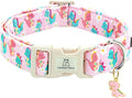 Lionheart glory Dog Collar Dinosaurs Pattern Cute Collar for Large Dogs Spring Summer Female or Male Collars Pets Gift Adjustable Heavy-Duty Pet Collars