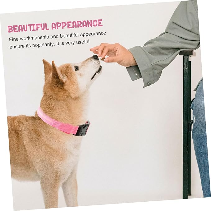KESYOO 1set Pet Dog Collar Led Flashing Necklace for Rechargeable Glow The Dark Pet Accessory Material for Night Visibility