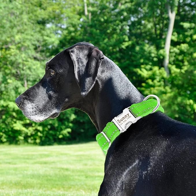 Dog Collar Personalized Reflective Large Dog Collars Nylon Adjustable Costomized Collar for Small Medium Big Dogs Pet Pitbull Green M