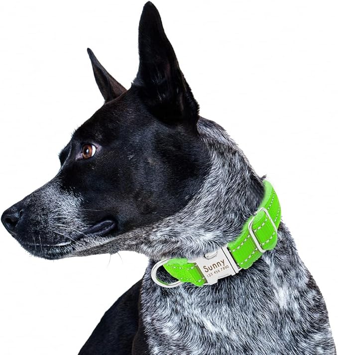 Dog Collar Personalized Reflective Large Dog Collars Nylon Adjustable Costomized Collar for Small Medium Big Dogs Pet Pitbull Green M