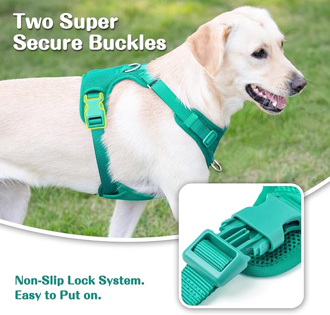 No Pull Dog Harness for Small Medium Large Dogs - Adjustable 2 Layer Mesh Dog Vest with Dual Clip, Escape Proof, Quick Release, Lightweight Breathable Mesh for Walking Hiking (MARRS Green,M)