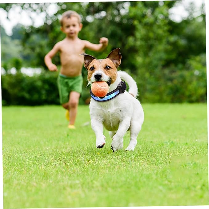 Milisten 1set Led Solar Rechargeable Collar Night Safety Pet Accessory for Dogs Puppies Comfortable Material for Parties Festivals