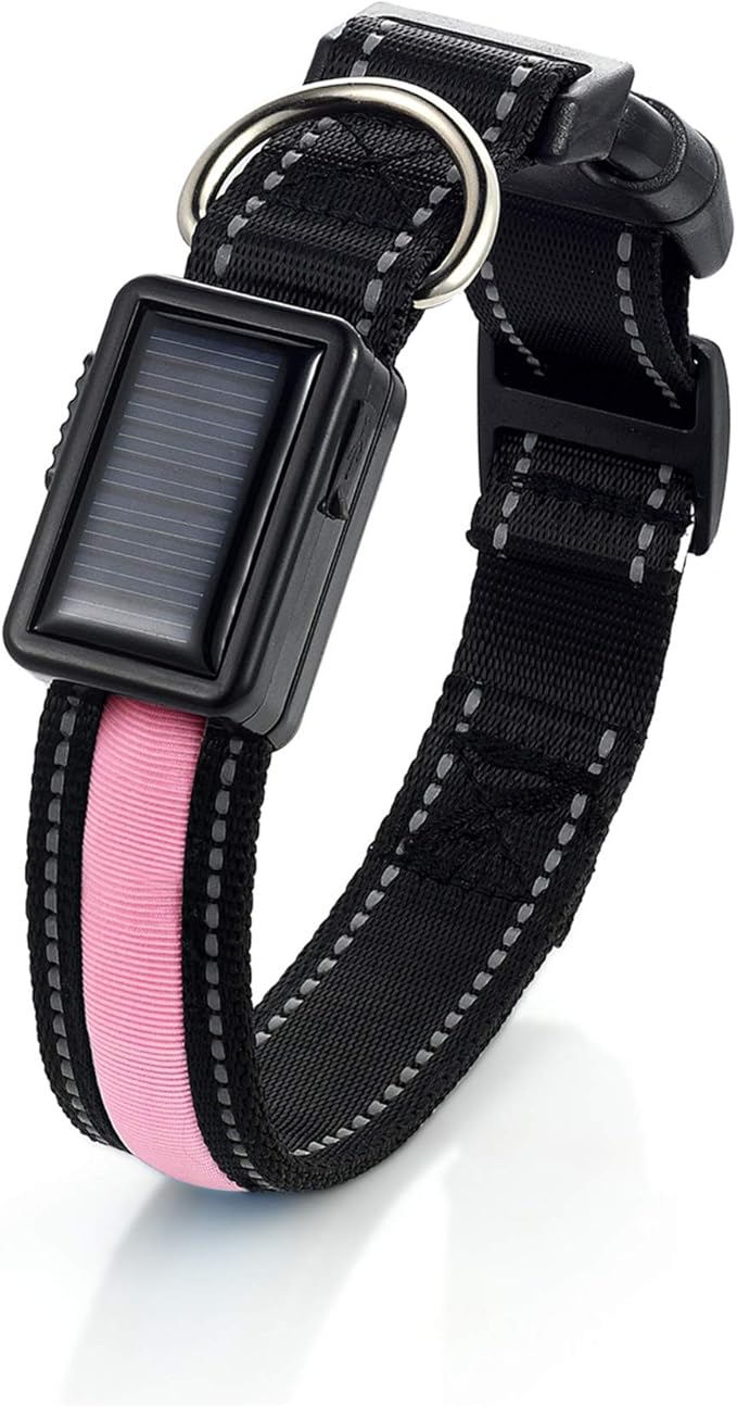 Avaner Reflective Dog Collar, Solar/USB Charging LED Light-up Pet Collar, Adjustable Nylon Collar for Dog