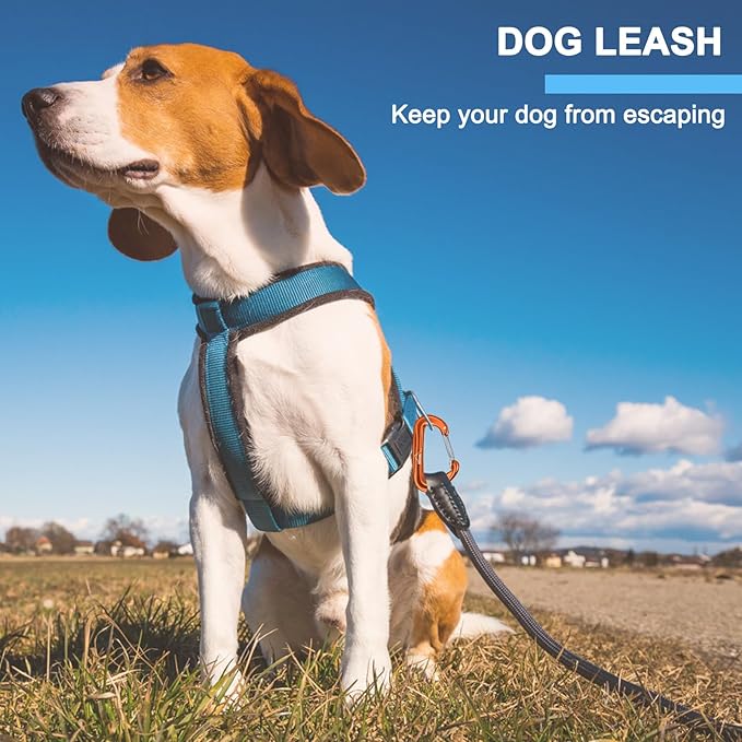 BEIFENG Heavy Duty Lightweight Locking Carabiner Clips D Ring for Camping Hiking Outdoor Gym etc, Carabiner with Lock Small Carabiners for Dog Leash & Harness