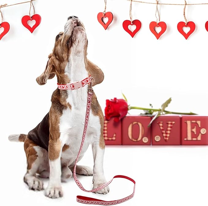 azuza Valentine's Day Dog Collar and Leash Set, Adjustable Pink Dog Collar with Glittery Red Heart Pattern Matching Leash Valentines Day Gifts for Small Dogs