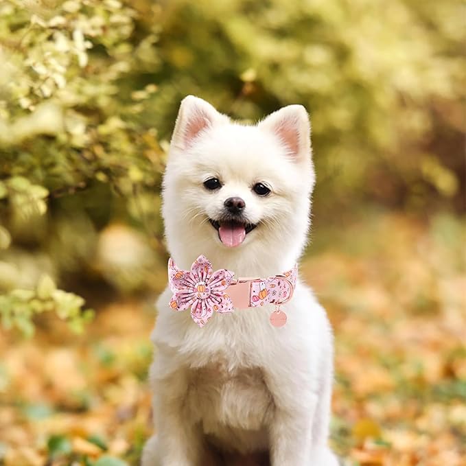 Halloween Dog Collar with Pink Flower, Adjustable Size, Premium Cotton, Sturdy Metal Buckle, Fits Small, Medium, Large Dogs & Cats