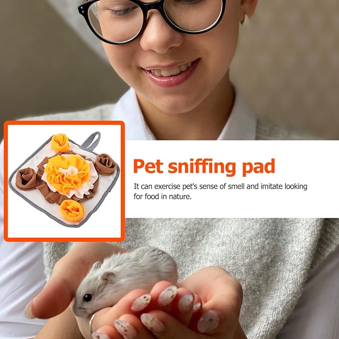 Intelligence Toy for Rabbit Pet Training Pads for Dogs Obesity Prevention