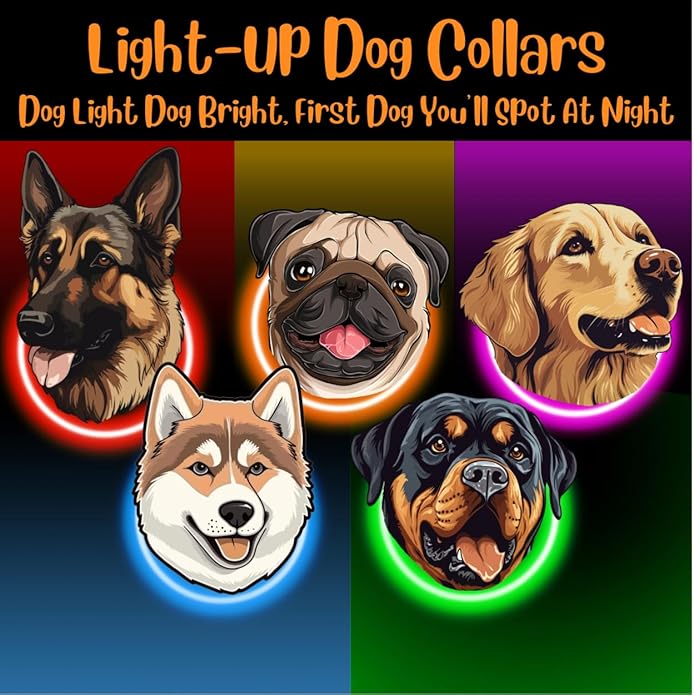 Dog Collar Light, Adjustable & USB Rechargeable, Water resistant, 3 light modes. Keep your Dog visible & safe at night, during walks. Suitable for all Pets, even people