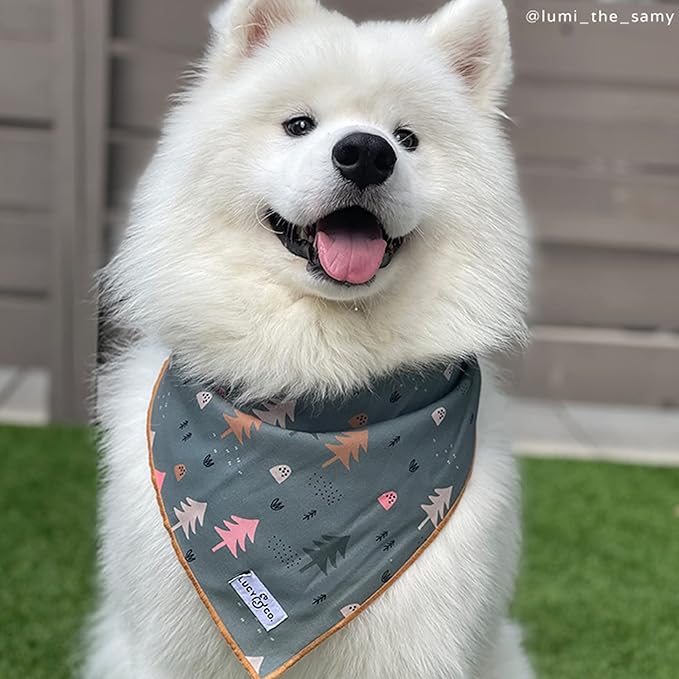 Lucy & Co. Take a Hike - Durable Comfortable Dog Bandana - Designer Puppy Accessory - Machine Washable - Small Blue Trees Bandana