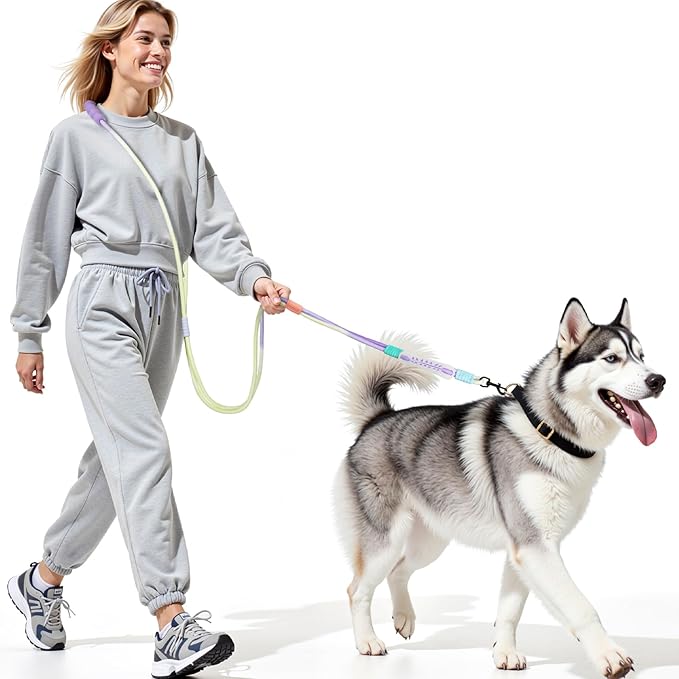Hands Free Dog Leash Dual Handle, Wearable Leashes for Dog, Padded Waist Belts and Rotating Metal Clip,for Small Medium Large Dogs (18+ lbs) Walking Training Running (Purple Green, 6.5 FT)