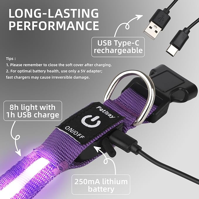 LED Dog Collar for Small Dogs Cats - Fully Waterproof & Adjustable Glow Collar - USB-C Rechargeable for Night Walking, Safety - Flashing Lighted Collar for Dogs(Purple,XS)