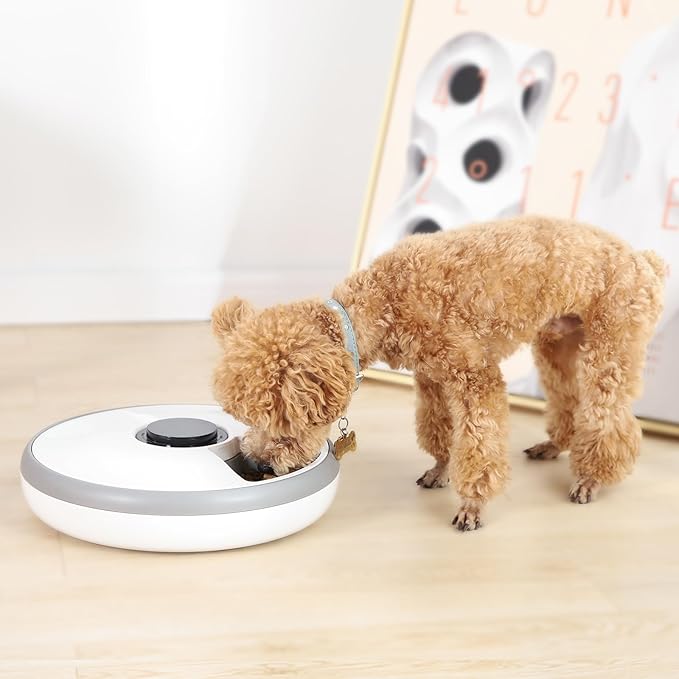 Amazon Basics Automatic Pet Feeder with Cooling Pack, 31.5 x 31.5 x 8.3cm, White