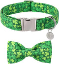 St. Patrick's Day Dog Collar with Bow Tie, Cotton St. Patrick's Day Bowtie Collar for Girl Boy Dosg, Lucky Shamrock Pet Collars with Metal Buckle, Spring, L, Neck 16-24in