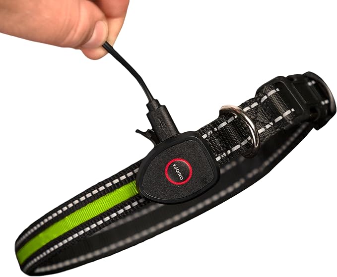 Sherry Kline LED Light-Up Pet Collar - USB Rechargeable - Flashing Glow in The Dark Size Large, Color: Green