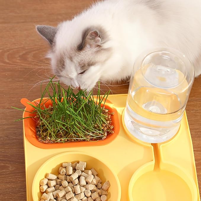 renvena Multi-Functional Dog and Cat Feeder Automatic Water Dispenser Bottle Double Slow Feed Bowls Yellow One Size